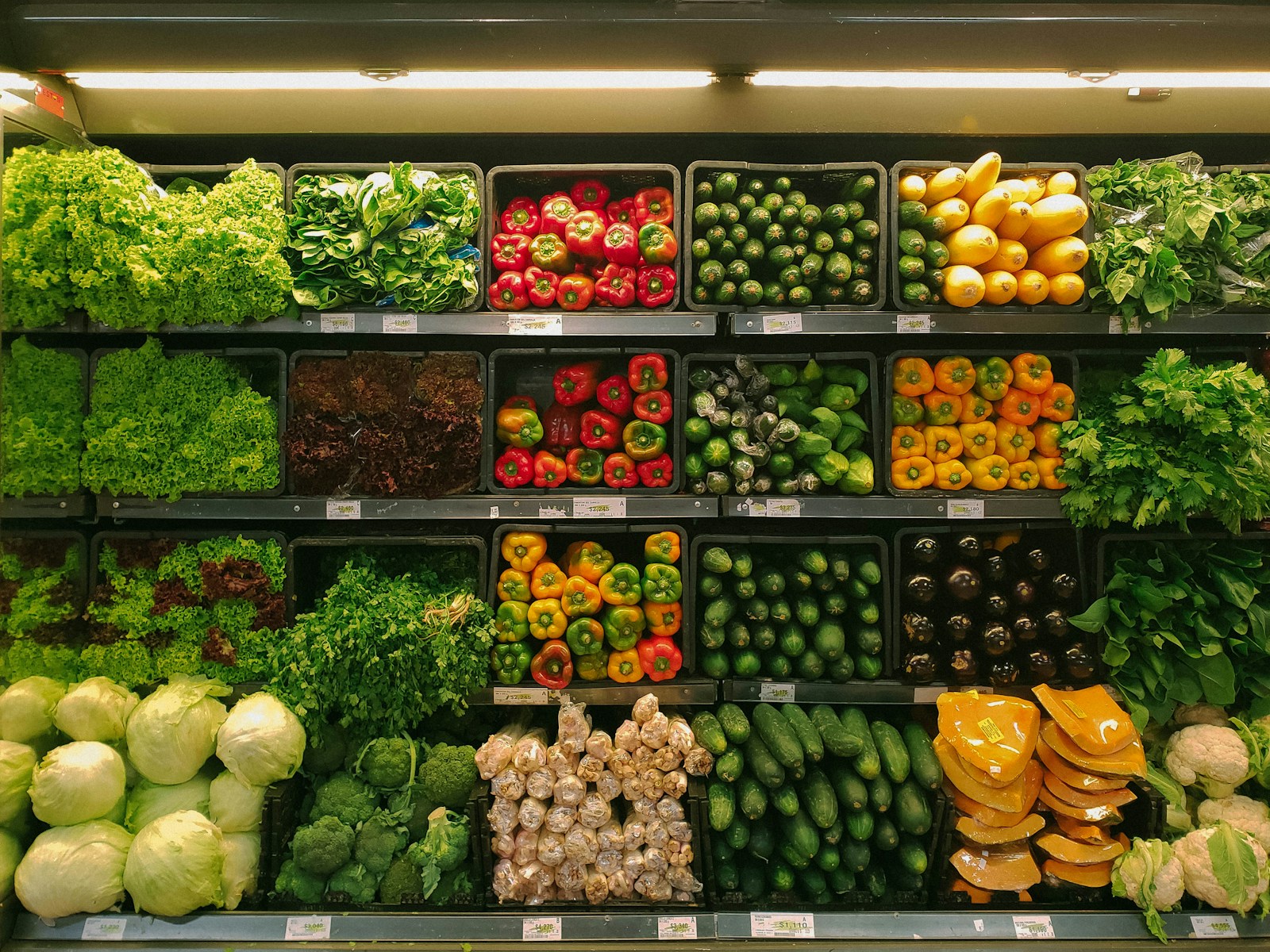 Fresh groceries ready for a household shop